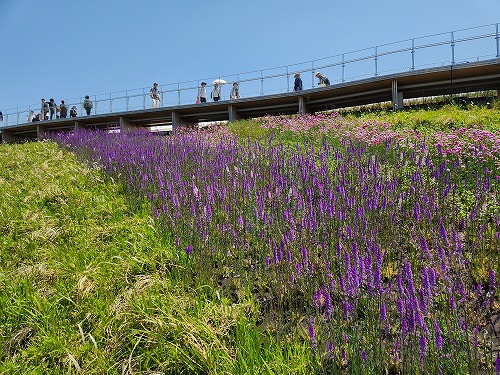 20250513_121931.jpg (121349 バイト)