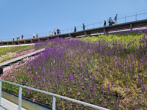 20250513_121948.jpg (113027 バイト)