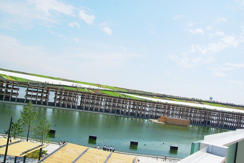 IMGP5916a.jpg (54083 バイト)