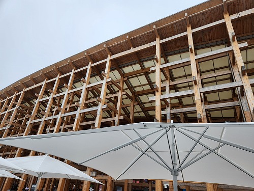 20250611_121033.jpg (85570 バイト)