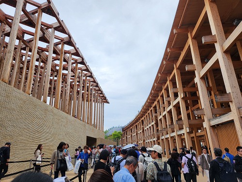 20250611_140350.jpg (96196 バイト)