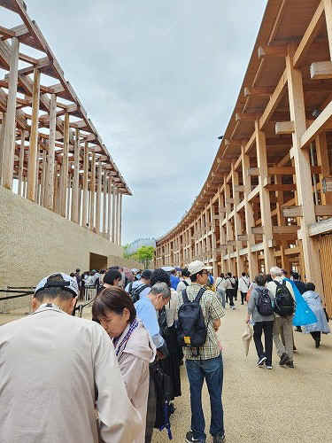 20250611_140400.jpg (83528 バイト)