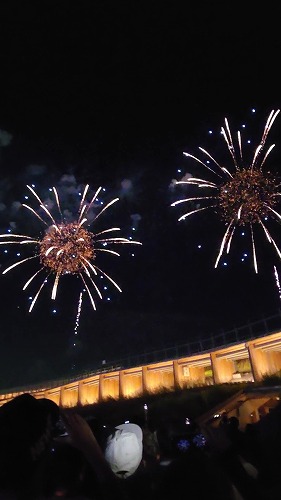 20250723_195805 - frame at 0m39s.jpg (34988 oCg)