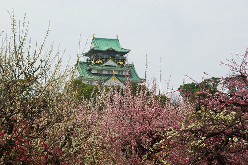 IMGP4490a.jpg (91499 oCg)