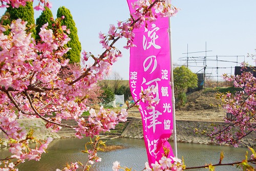 IMGP5006a.jpg (101666 oCg)