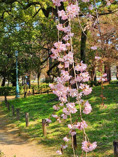 20250326_105934a.jpg (129830 oCg)