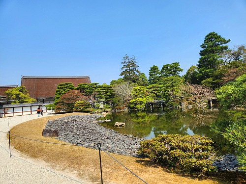 20250326_115105a.jpg (91601 oCg)