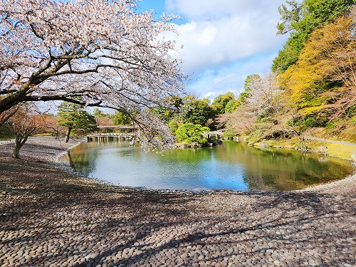 20250403_151154a.jpg (130354 oCg)