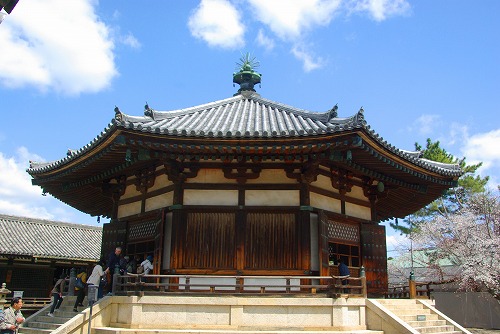 IMGP5520a.jpg (65001 oCg)
