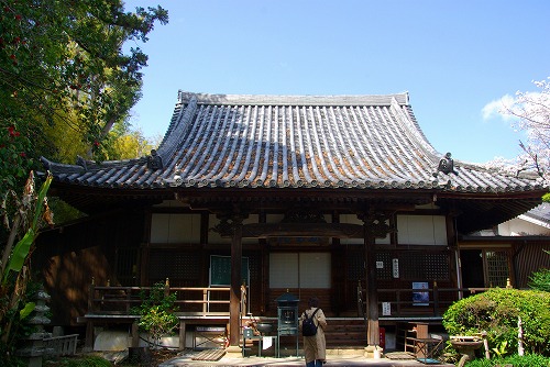 IMGP5544a.jpg (77132 oCg)