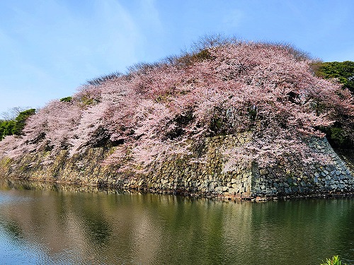 20250408_105252a.jpg (107578 oCg)