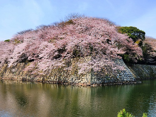 20250408_105255a.jpg (110085 oCg)