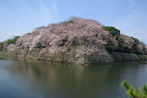 IMGP5577a.jpg (60784 oCg)