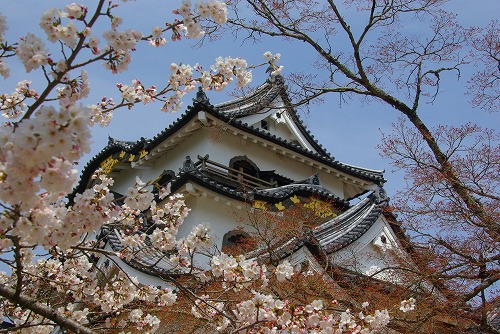 IMGP5606a.jpg (104344 oCg)