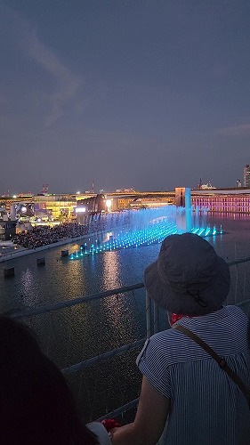 20250723_193338 - frame at 0m11s.jpg (40754 バイト)